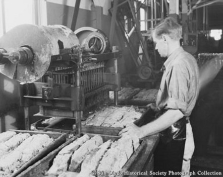 Cannery worker at Westgate Sea Products Company
