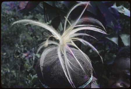Bird-of-paradise feathers in barkcloth cap worn by Akis