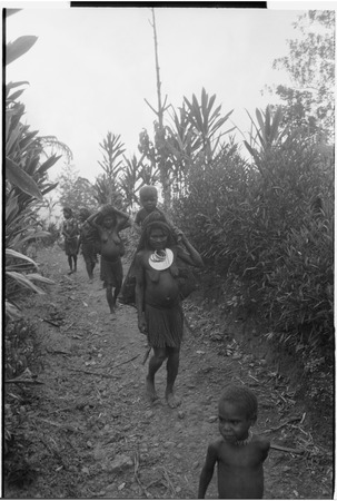 Women carry food, firewood, and children on trail bordered with cordyline plants