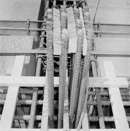 Rebar detail, construction of Geisel Library, UC San Diego