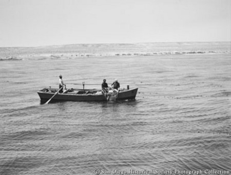 American Agar Company kelp diver entering ocean from rowboat