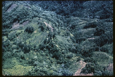 Wahgi-Sepik Divide, aerial view of gardens on north slope