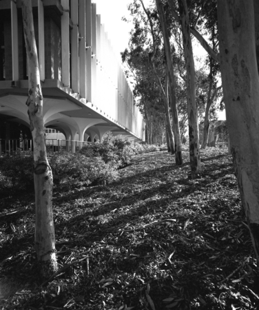 Revelle College grounds, UC San Diego