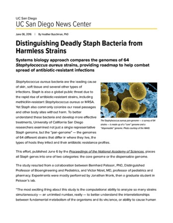 Distinguishing Deadly Staph Bacteria from Harmless Strains