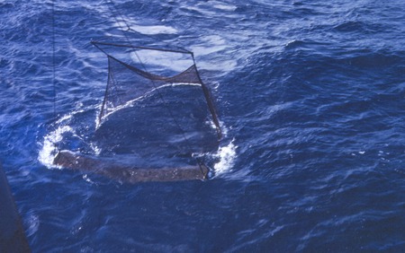 Mid-water trawl
