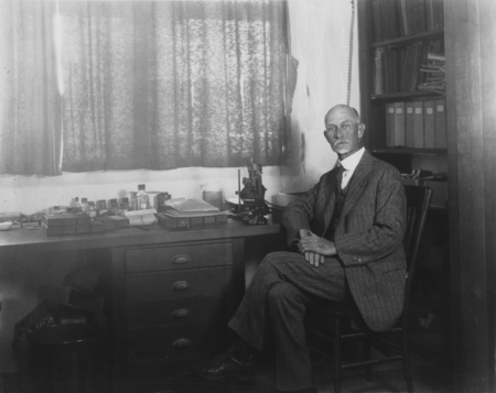 Thomas Wayland Vaughan (1870-1952), shown here in his laboratory at Scripps Institution of Oceanography. He was a geologis...
