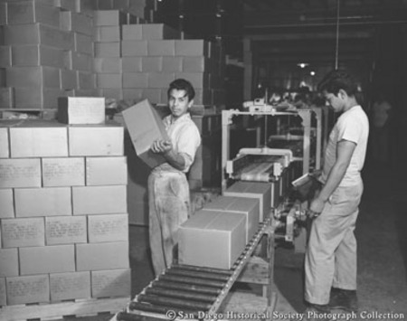 Men removing boxes from conveyor at Sun Harbor Packing Corporation cannery