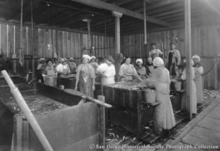 Women cleaning sardines at Normandy Sea Food Company