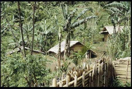 Kwaio hamlet.