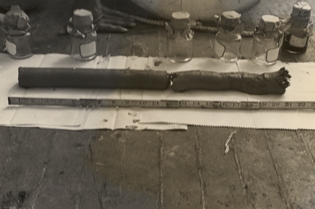 21-inch bottom core sample obtained with a piston corer aboard R/V Scripps