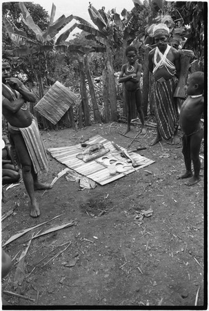 Pig festival, pig sacrifice, Tsembaga: ritual exchange of shell valuables, steel axes, and pork displayed on mat