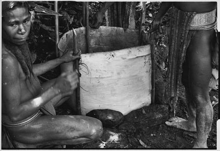 Pig festival, uprooting cordyline ritual, Tsembaga: men make bark oven to cook pandanus and marsupials