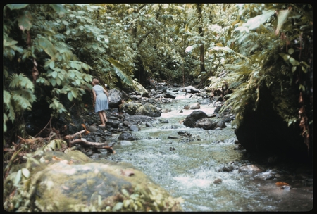 Anne Scheffler by a creek