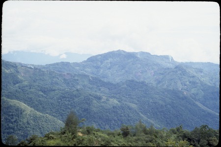 Jimi River area, panoramic view 04: mountains and gardens