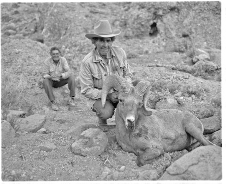 Isidoro Aguilar with mountain sheep