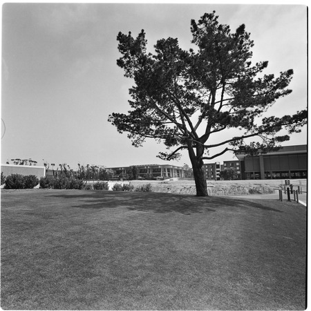 Revelle College, Galbraith Hall