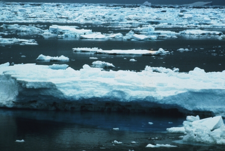 [Sea ice seen from deck of D/V Glomar Challenger] Antarctica, Leg 28