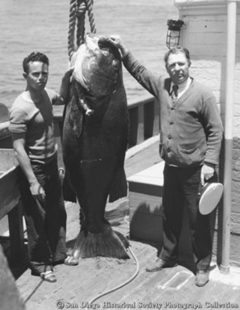 Two men on boat posing with giant sea bass