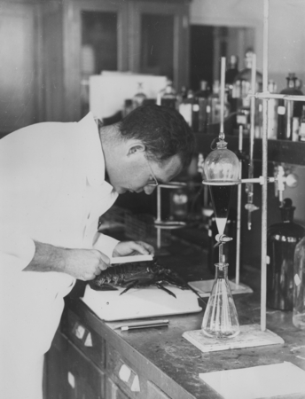 Bayard Harlow McConnaughey, a biochemist and biologist working at Scripps Institution of Oceanography. 1947.