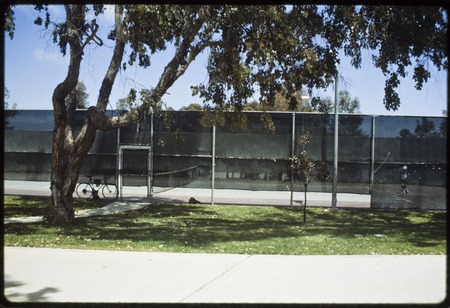 Warren College Recreation Fields