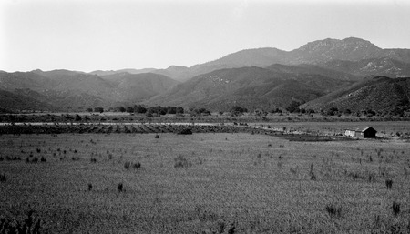 Rincón de los Encinos, live-oak grove in eastern part of Guadalupe Valley, and site of important ranchería of the Guadalup...