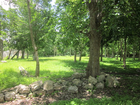 San Juan Koop grounds around hacienda remains 01