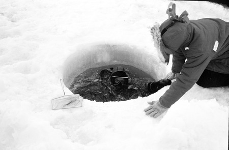 John S. Oliver diving with Donna C. Oliver above, Antarctica