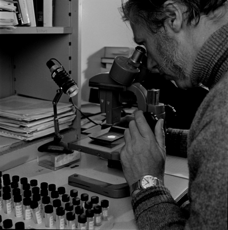 Wolfgang H. Berger using microscope