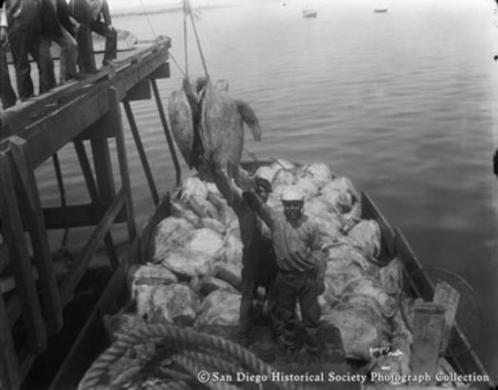 Turtle fishermen unloading catch at pier