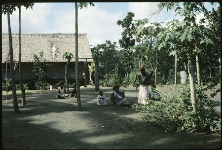 People in a clearing near a house