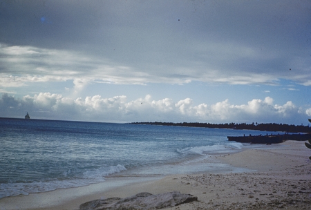 Beach on Bikini Island. Capricorn Expedition, 1952