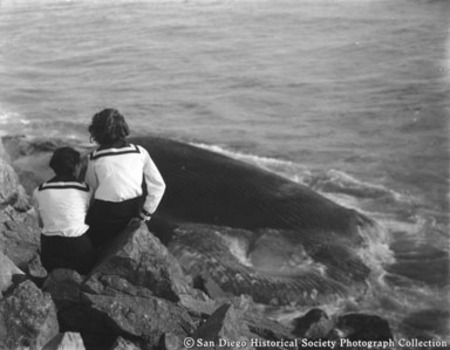 Two women on rocks near beached whale