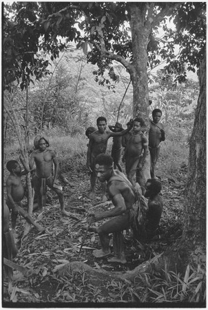 Dispute in Tuguma: luluai, watched by other men, pushes a small stake into ground