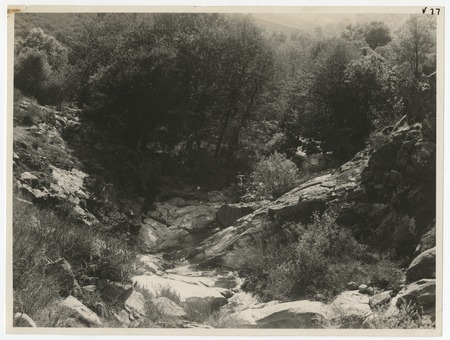 Boulder Creek, looking upstream