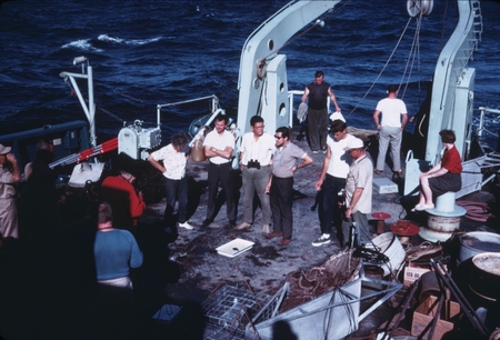 MV 68-I - Scientists on deck,  Gulf of California
