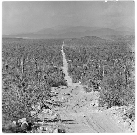 Stretch of the old dirt road near Rancho El Tablón