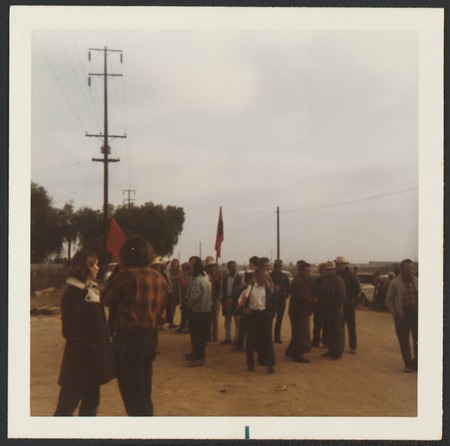 Imperial Beach United Farm Worker&#39;s strike