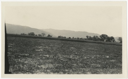 Fields at Warner&#39;s Ranch
