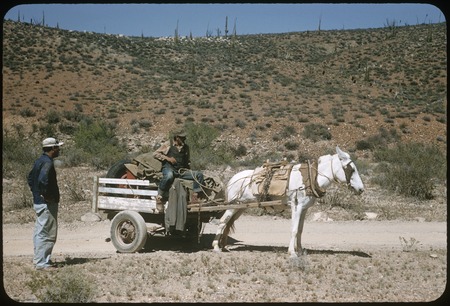 Mule drawn cart near El Pedregoso