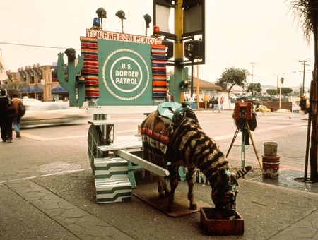 Avenida Revolución: Mule painted to look like a zebra