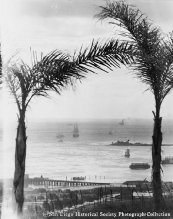 View between palm trees of ships on San Diego Bay