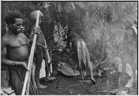 Pig festival, uprooting cordyline ritual, Tsembaga: marsupial meat and pandanus fruit, associated with red spirits of high...