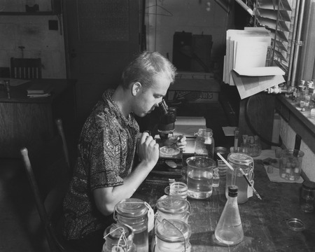 Kenneth V. Kvammen working in laboratory, Scripps Institution of Oceanography