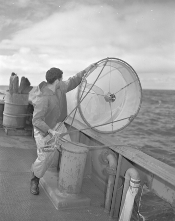 Launching two meter net from stern of the M.S. Horizon, Scripps Institution of Oceanography, La Jolla, California