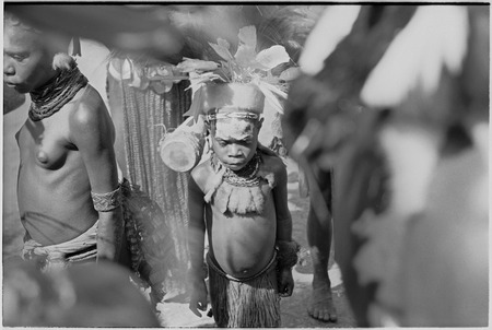 Pig festival, singsing, Kwiop: decorated child with feather and marsupial fur headdress