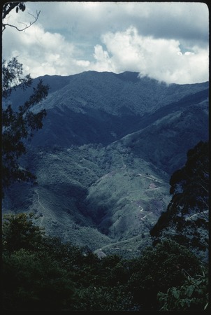 Koriom area, ridgetop trails