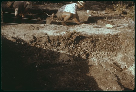 Hauiti archaeological excavation, Moorea: X50, south wall, men working