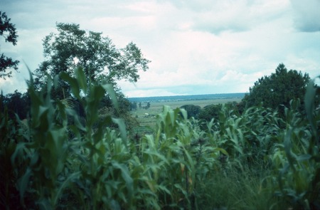 Landscape around Mukupa Katandula village, with maize garden in the foreground