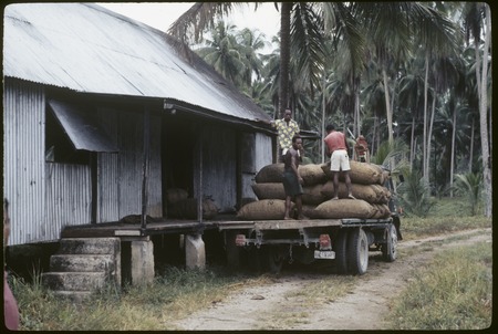 Siar Plantation, bags of copra being loaded onto truck
