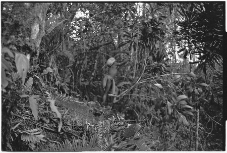Hunting: man in forest setting a snare